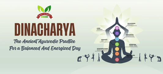 DINACHARYA|Ayurveda|Lifecycle