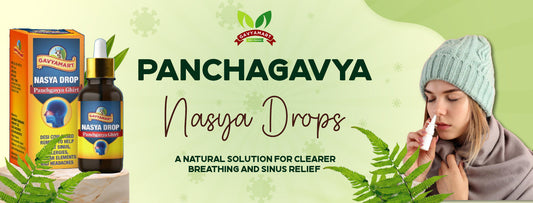 Nasya Drops | Ayurvedic Drops | Organic Medicine