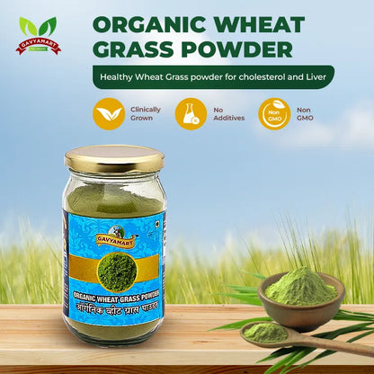 Wheat grass Powder | Wheat Powder 